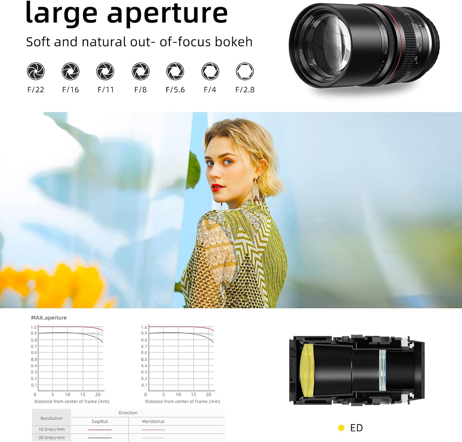 135mm f/2.8 Full Frame Telephoto Lens for Canon Rebel EOS 80D 77D 70D 60D 50D 7D 6D 5D 5DS 1DS T7i T7s T7 T6s T6i T6 Nikon D7000 D7100 D7200 D7300 80D