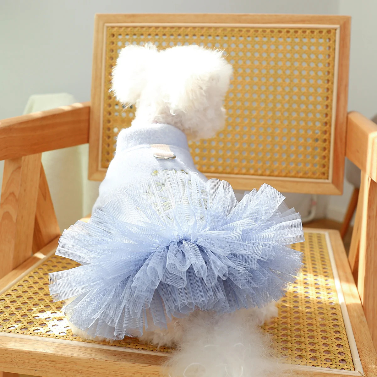 1PC Pet Clothing Dog Autumn and Winter Thickened Princess Dress With Drawstring Buckle For Small Medium Dogs 231226 H260130