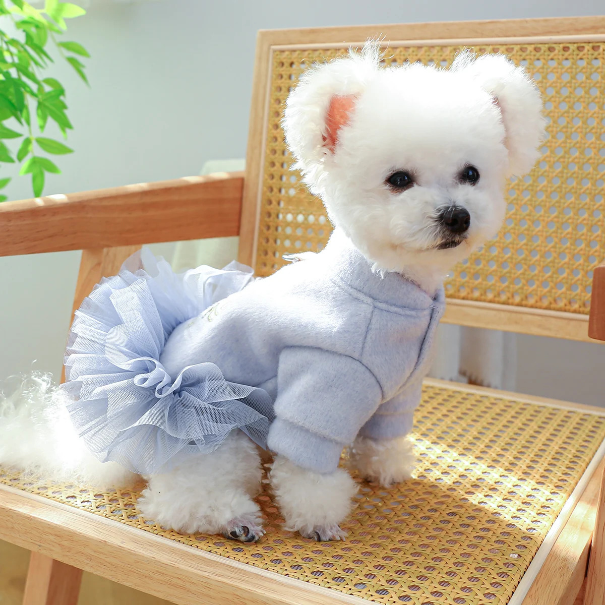 1PC Pet Clothing Dog Autumn and Winter Thickened Princess Dress With Drawstring Buckle For Small Medium Dogs 231226 H260130
