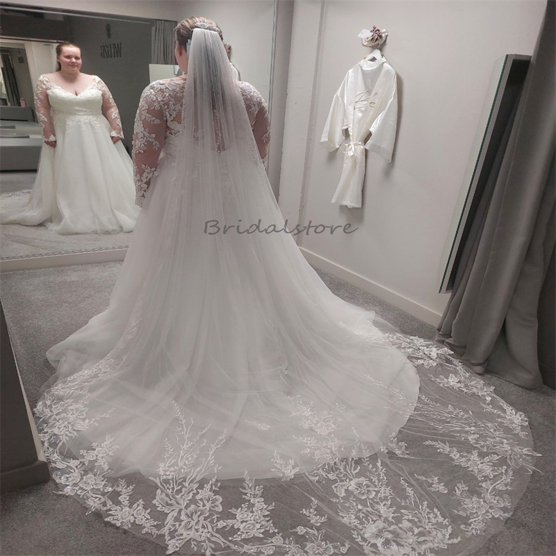 Boho Plus Size Wedding Dress 2024 Sexy V Neck Illusion Lace Long Sleeve A Line Tulle Beach Bride Dress Elegant Bohemian Bridal Gown Fashion Vestidos D