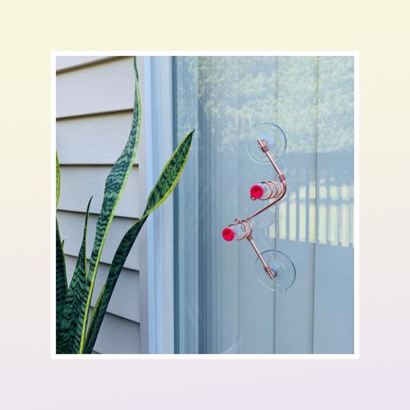 Other Bird Supplies 1pcs Window Hummingbird Feeder Sweet Feeders Creative Animal Suction Cup Feeding Glass Decoration2705995