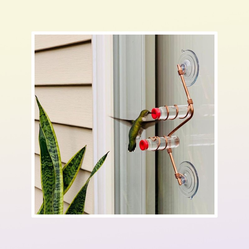 Other Bird Supplies 1pcs Window Hummingbird Feeder Sweet Feeders Creative Animal Suction Cup Feeding Glass Decoration2705995