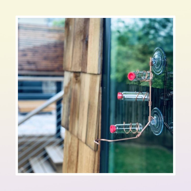 Other Bird Supplies 1pcs Window Hummingbird Feeder Sweet Feeders Creative Animal Suction Cup Feeding Glass Decoration2705995