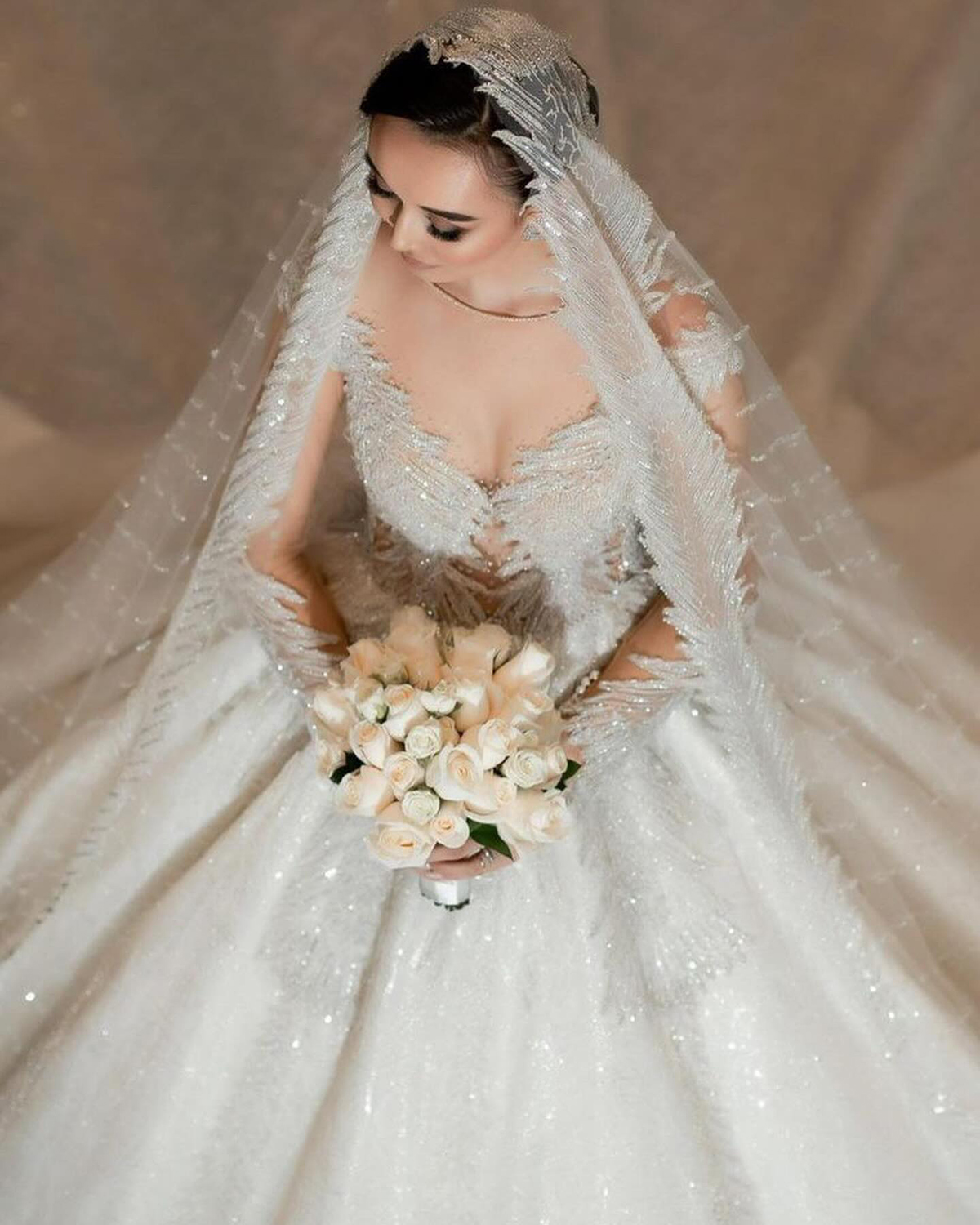 Modern 3D-Flower-Lace A-Line Wedding Dress V-Neck Tassel Long Sleeve Ball Gown Plus Size Brush Train Bridal Gowns Dress Vestido De Novia Customized D-