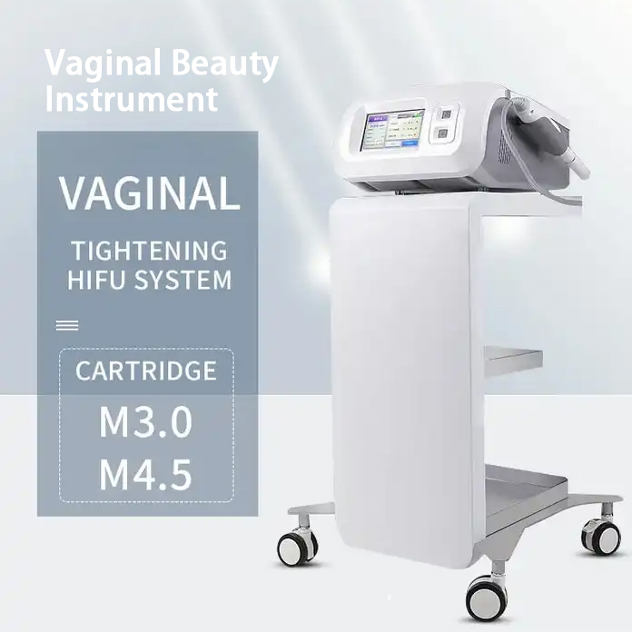 2024 Portable Ultrasonic Knife HIFU Vaginal Tightening Health Improvement Immunity Improve 3mm 4.5mm Cartridges Female Private Beauty Machine
