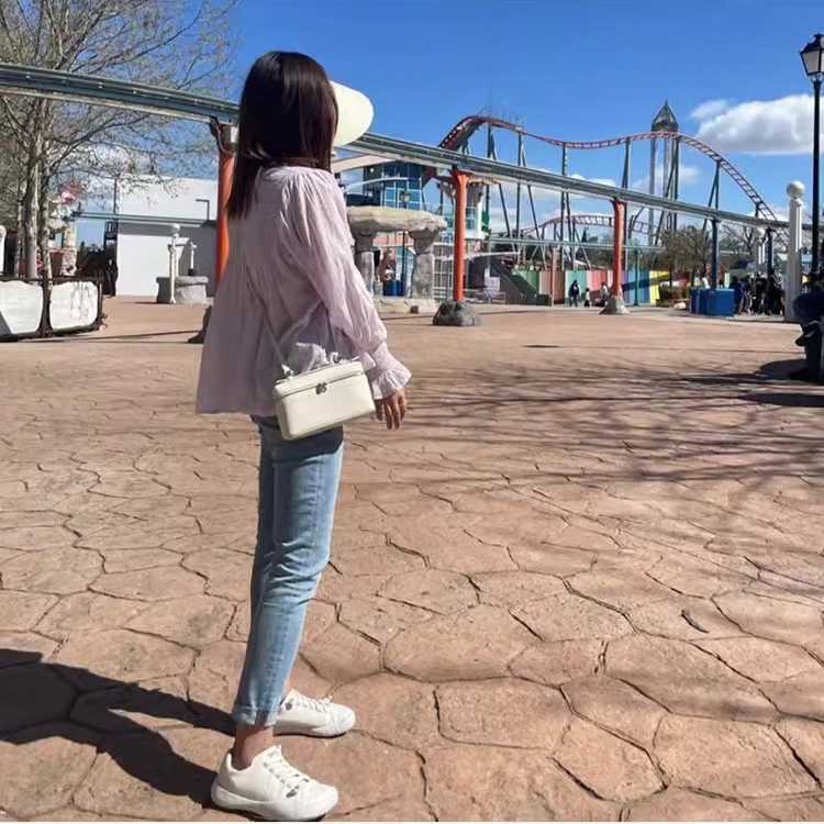 Leather Lunch Box: Litchi Pattern Cowhide Handbag with Insulated Compartment, Simple Shoulder Bag for Women Y260115