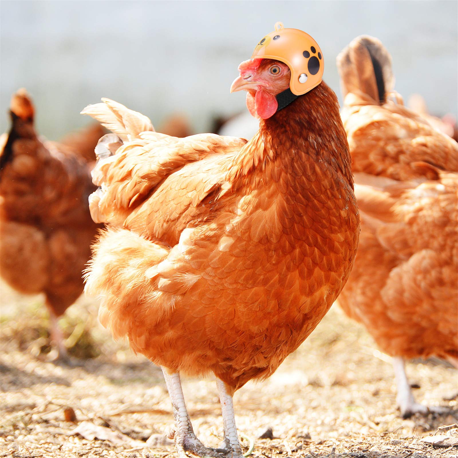 Update Chicken Safety Helmet Hens Peck Protection Funny Parrot Head Cover Bird Hat Headwear Small Animal Costumes Accessories For Chickens Roosters Pa