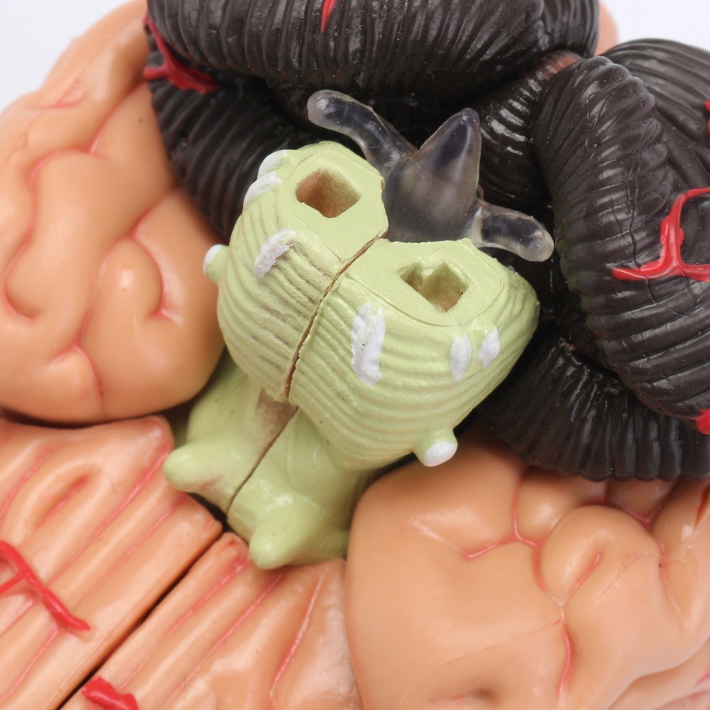 Other Office School Supplies 4D Human Anatomical Brain Model Anatomy Teaching Tool Toy Statues Sculptures Use 72610cm 230703