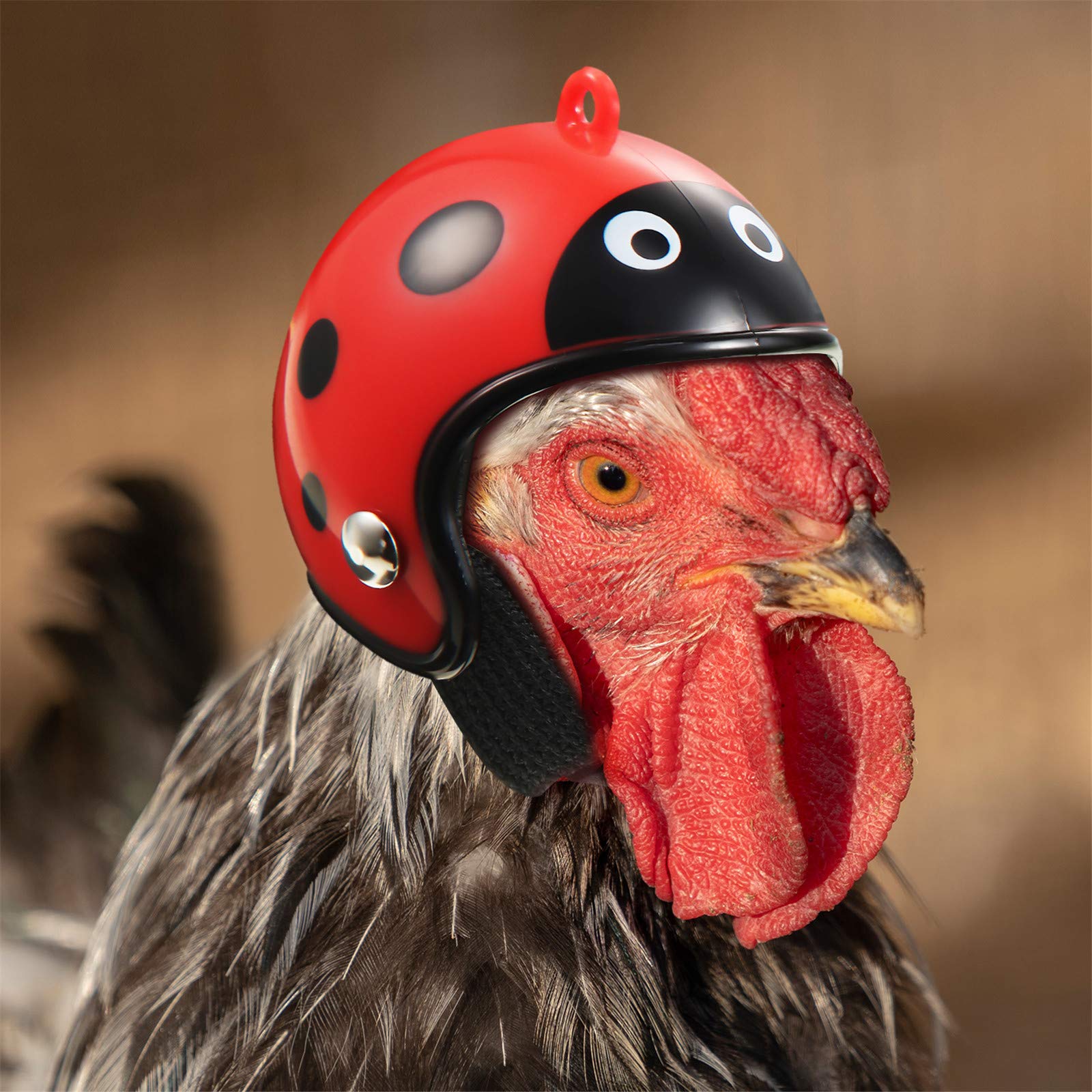 Update Chicken Safety Helmet Hens Peck Protection Funny Parrot Head Cover Bird Hat Headwear Small Animal Costumes Accessories For Chickens Roosters Pa
