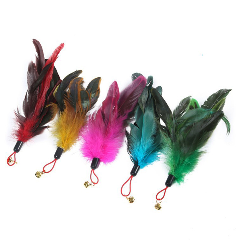 Chicken Feather Toy Plastic Pendant Creative Funny Cat Stick Replacement Head Pet Supplies