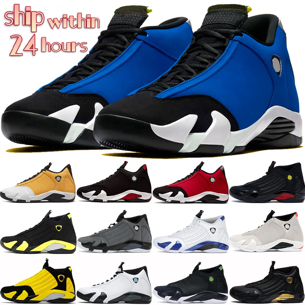 2023 14 Fortune Win… - image