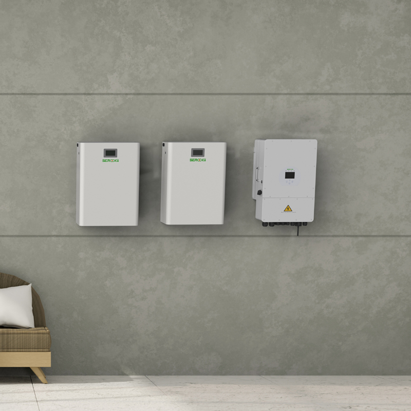 10000W Residential Battery Energy Storage System inlcuding 1 HYBRID INVERTER, 2 BATTERIES and 1 DC COMBINER BOX