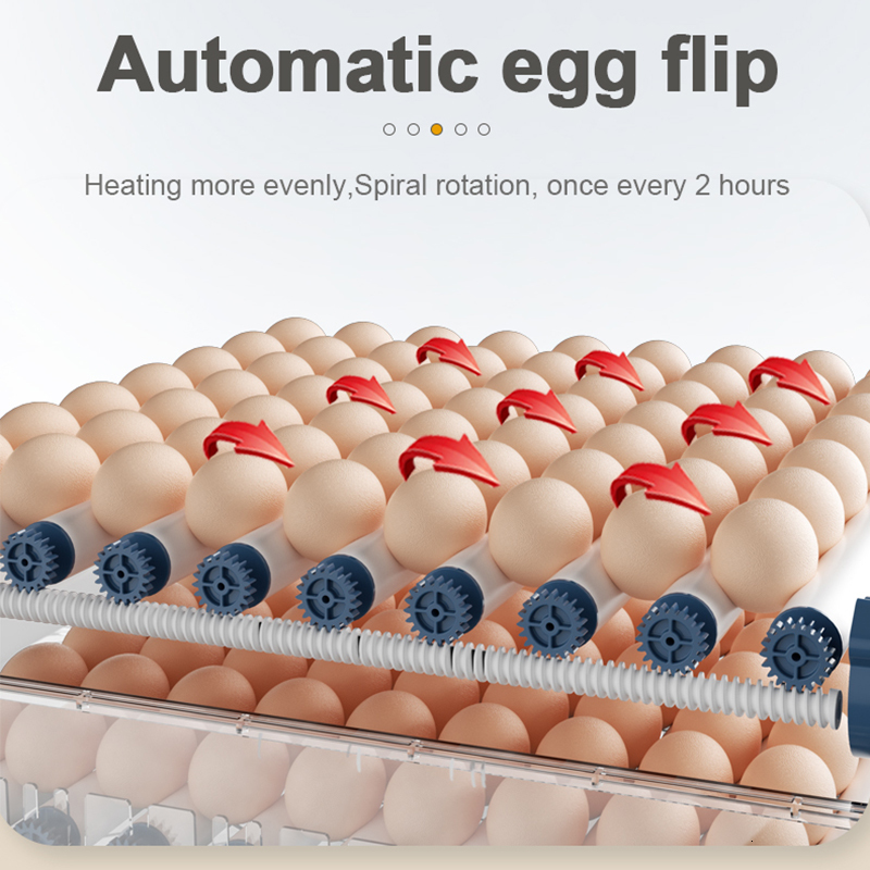 Incubators 36 Eggs Automatic Incubator for Egg Incubation Brooder Bird Chick Chicken Accessories Smart 220V110V Farm Equipment 230706