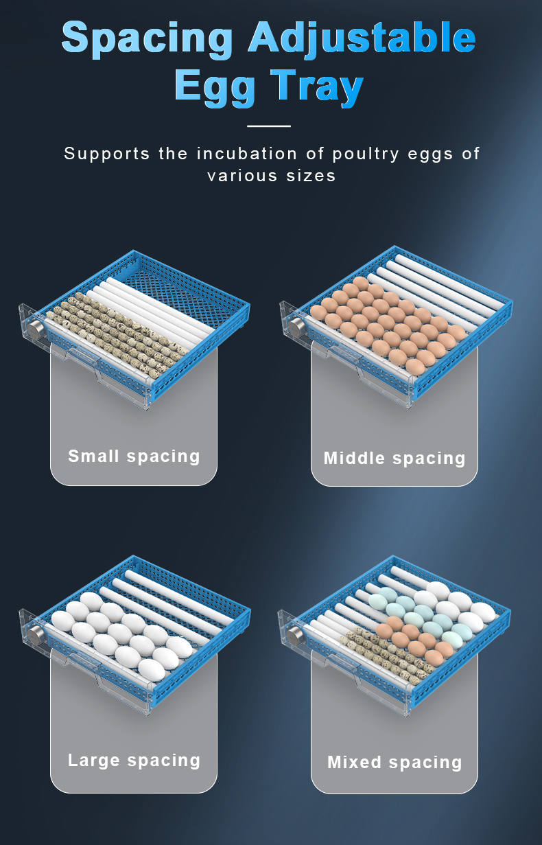 Incubators 36 Eggs Automatic Incubator for Egg Incubation Brooder Bird Chick Chicken Accessories Smart 220V110V Farm Equipment 230706