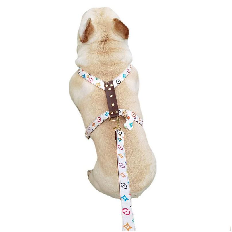 Baroque Harnesses Ins Fashion Durable Leather Pets Harness