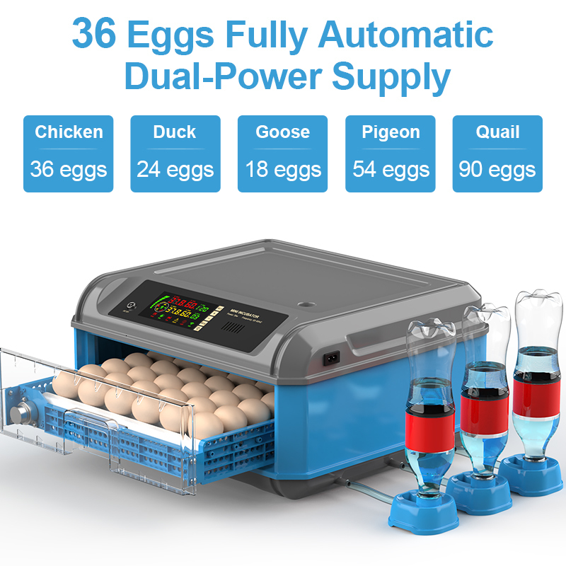Incubators 36 Eggs Automatic Incubator for Egg Incubation Brooder Bird Chick Chicken Accessories Smart 220V110V Farm Equipment 230706