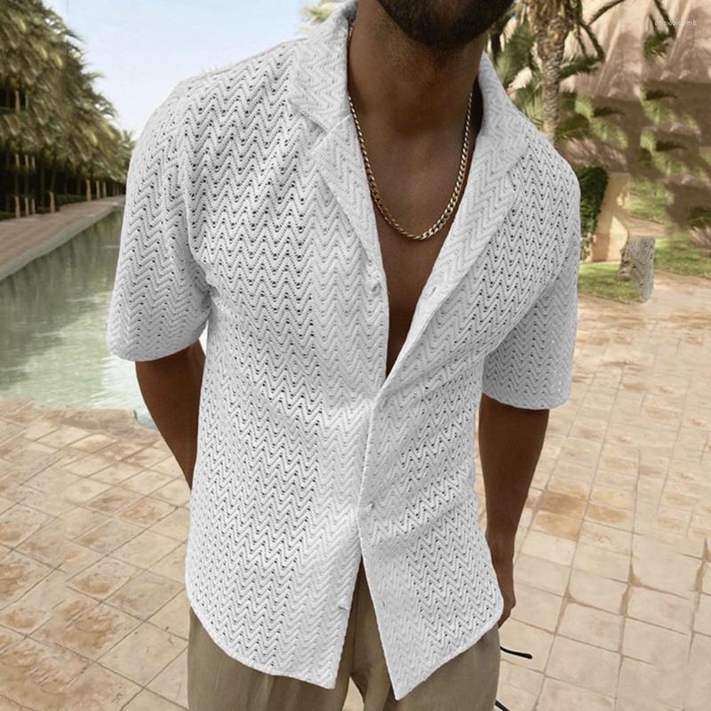 Men's Casual Shirts Men Summer Shirt Solid Color Hollow Out Lapel Single Breasted Placket Short Sleeve Top, Light blue
Men's Casual Shirts Men Summer Shirt Solid Color Hollow Out Lapel Single Breasted Placket Short Sleeve Top, Light blue