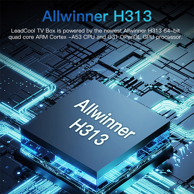 Leadcool H313 4K Settop Box Smart Android TV Box Allwinner H313 Quad Core Android 10 Support WIFI