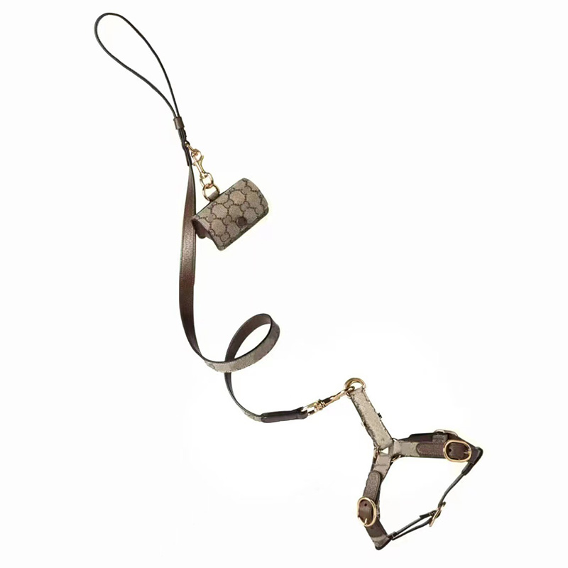 Cat Dog Collar Traction Dogs Cats Harnesses Leashes Collars Set Hairless Cat Schnauzer