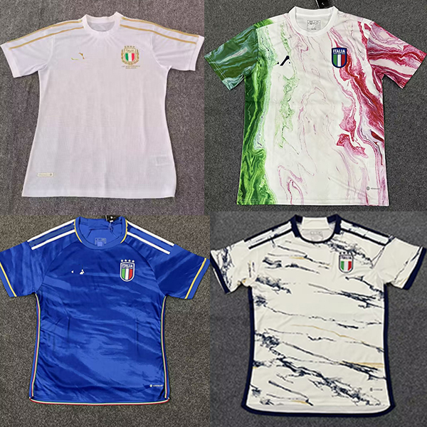 23-24 Italia Men's T-Shirts Summer soccer fan Polos breathable fabric Badge embroidery outdoor football casual Professional shirt, No 3
23-24 Italia Men's T-Shirts Summer soccer fan Polos breathable fabric Badge embroidery outdoor football casual Professional shirt, No 3