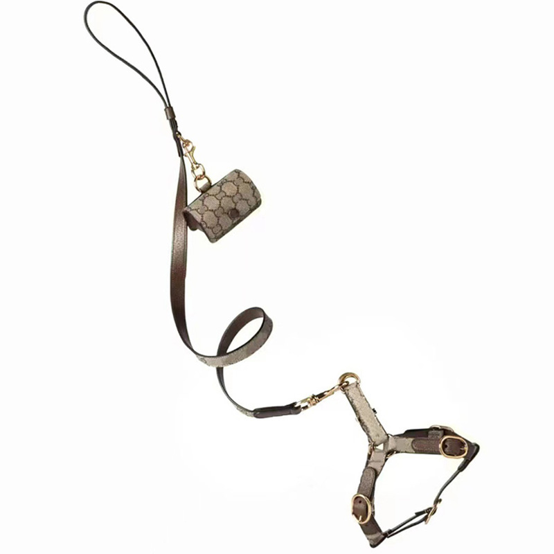 Cat Dog Collar Traction Dogs Cats Harnesses Leashes Collars Set Hairless Cat Schnauzer