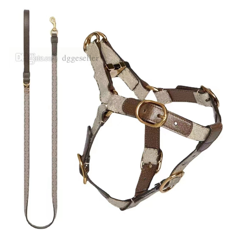 Designer Collar Leash Set Step in Dog No Pull, Easy Fit Adjustable Pet Comfortable, Lightweight Leather Harness for Walking or Training Small Dogs