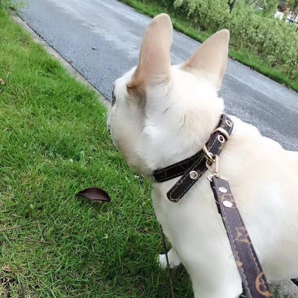 Fashion Designer Dog Collars Leashes Set Soft Adjustable Printed Leather Classic Pet Collar Sets for Small Dogs Outdoor Durable B36