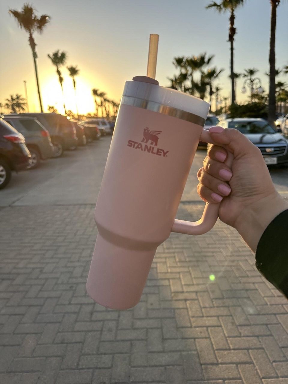 DHL 1pcs Stanley Quencher H2.0 40oz Stainless Steel Tumblers Cups With Silicone Handle Lid and Straw Big Capacity Car Mugs Vacuum Insulated Water Bottles ZT07