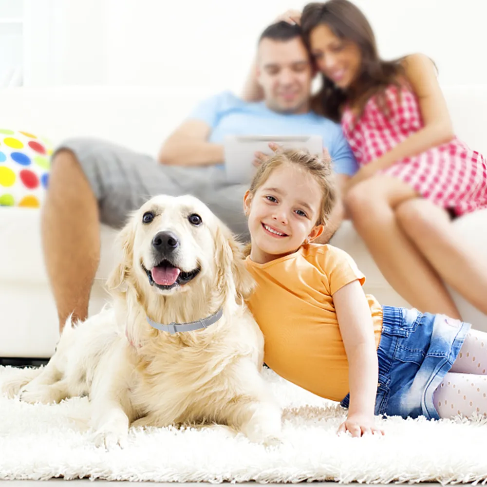 Pet Flea and Tick Collar for Dogs Cats Up To 8 Month Prevention Collar Antimosquito Insect Repellent Puppy Supplies sxjul57518842 LL