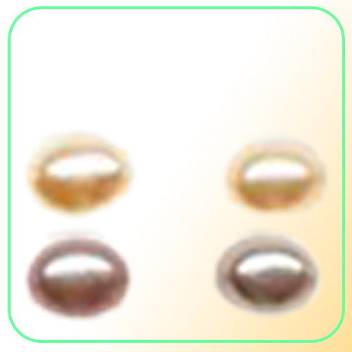 50Pairslot Pearl Earring Silver Nail Stud For DIY Craft Fashion Jewelry Gift Mix color W1