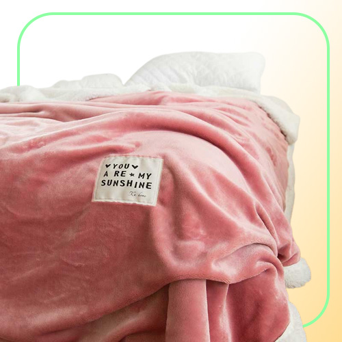 Double Thickening Lamb Cashmere Blanket Sofa Winter Super Warm Cozy Throw Blankets for Office Siesta AirCondition Bedspread2764635
