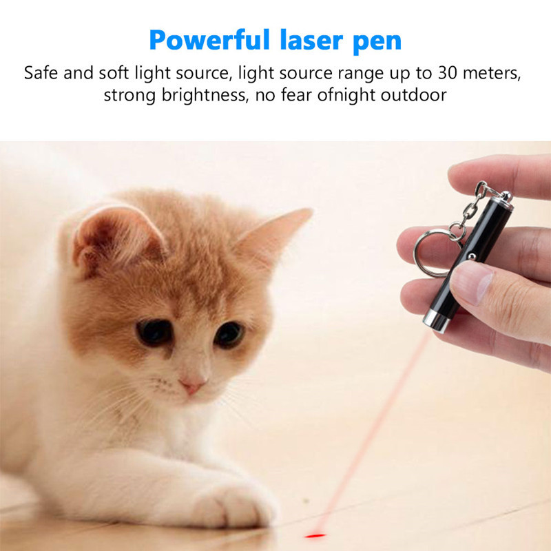 Supplies Home & Gardenmini Red Laser Key Chain Funny Led Light Pet Cat Toys Keychain Pointer Pen Keyring For Cats Training Play Toy