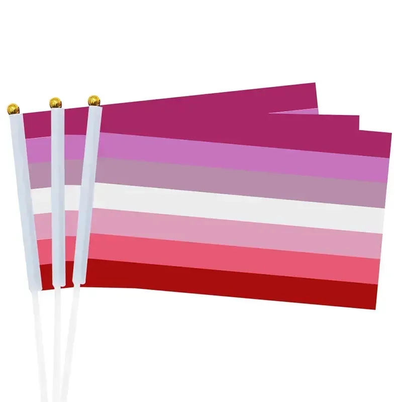 Gay Pride Rainbow Party 14x21cm LGBT Small Mini Hand-Held transgender Bisexual and Pansexual Flags CPA4264 0516