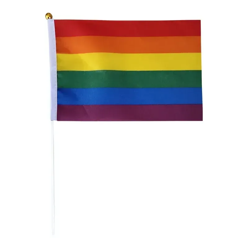 Gay Pride Rainbow Party 14x21cm LGBT Small Mini Hand-Held transgender Bisexual and Pansexual Flags CPA4264 0516