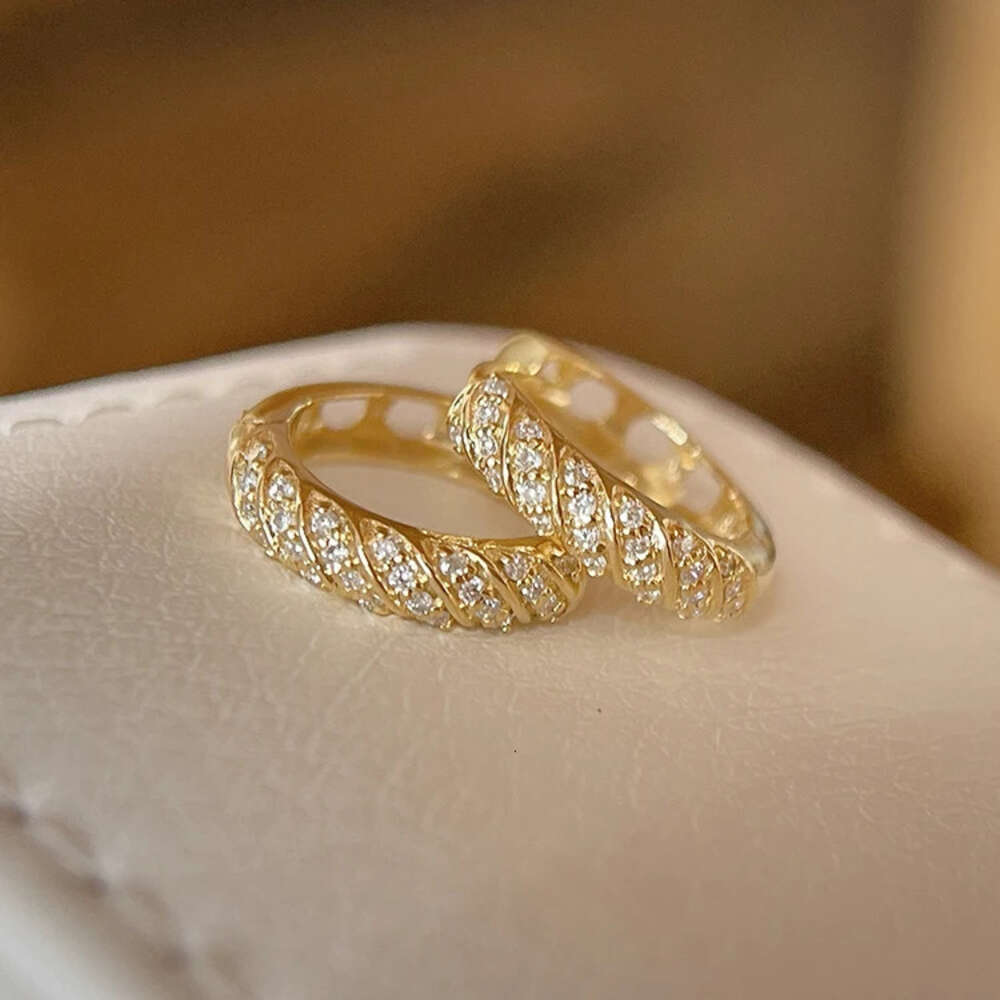Ins Style Earnings Sparkly Moissanite Diamond