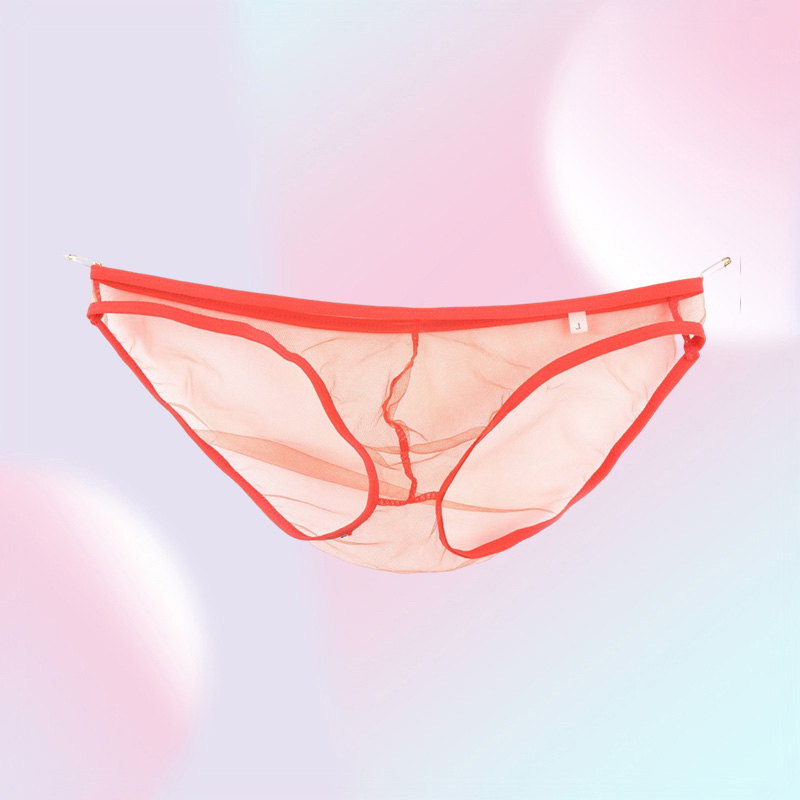 Underpants Full Transparent Men Underwear Briefs Gauze Male Viscose Panties Sexy Lingerie See Through Cueca Gay Plus Size Slips Ho7070601