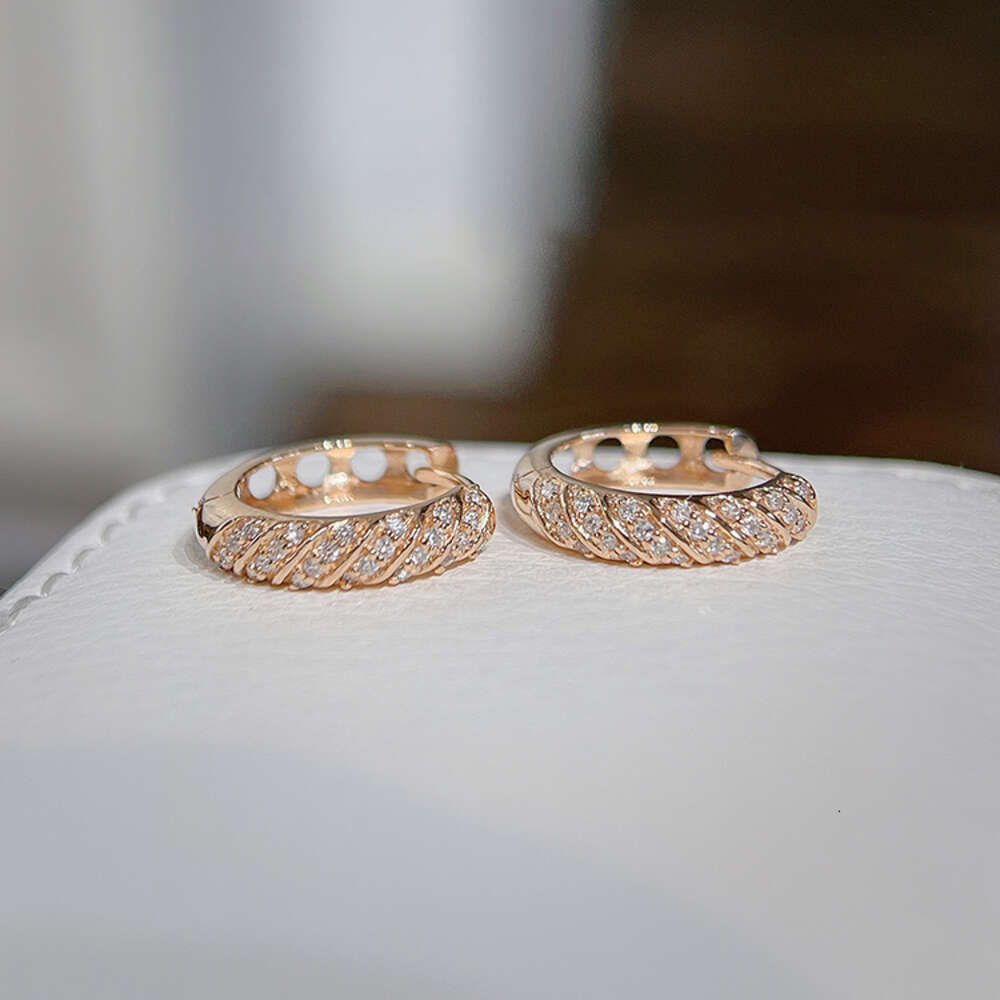 Ins Style Earnings Sparkly Moissanite Diamond
