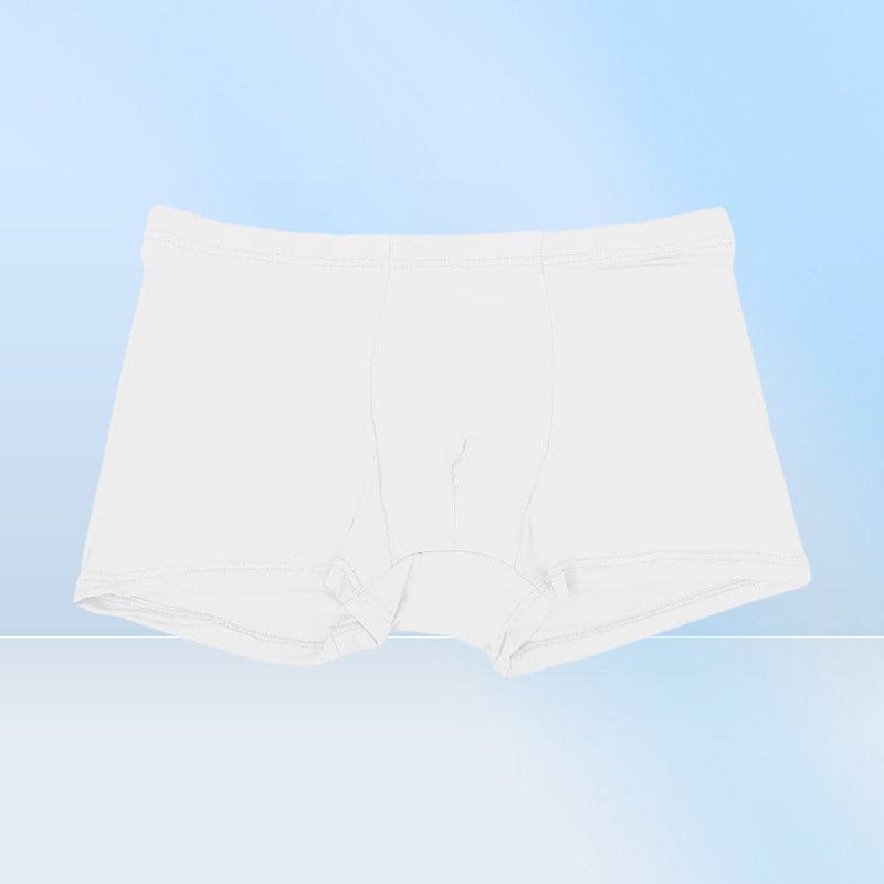 Underpants Summer Ice Silk Men Underwear Seamless Transparent Boxer Shorts Ultra Thin Sheer Breathable Comfortable Panties