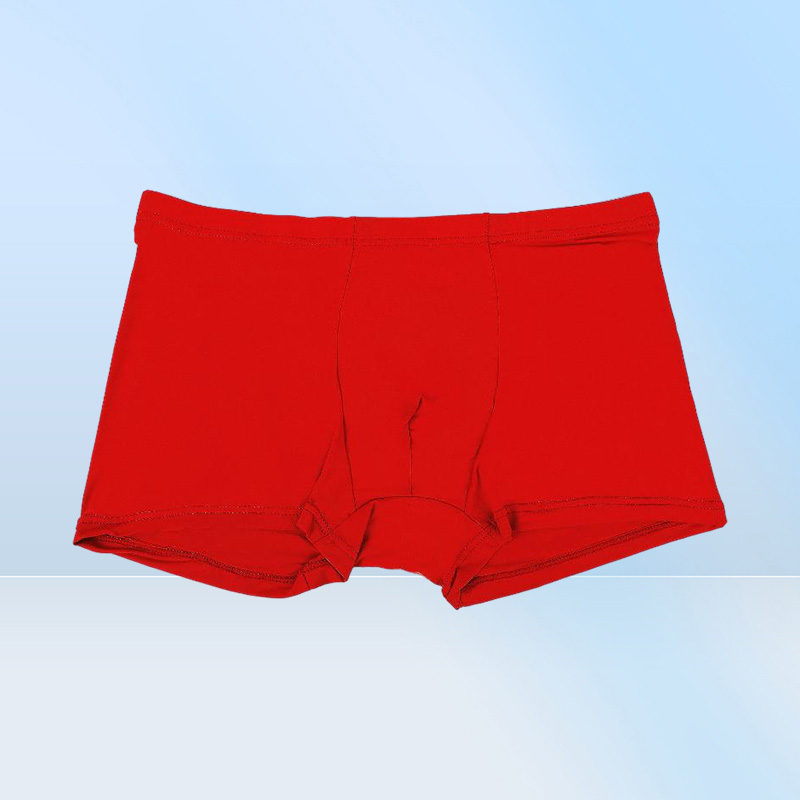 Underpants Summer Ice Silk Men Underwear Seamless Transparent Boxer Shorts Ultra Thin Sheer Breathable Comfortable Panties