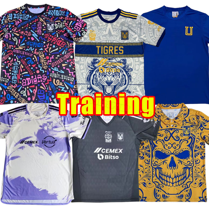 Training 2023 GIGNAC Tigres UANL soccer jerseys 23 24 Mexico liga MX Vargas AQUINO PIZARRO NICOLAS F. THAUVIN NICO football shirts maillots men