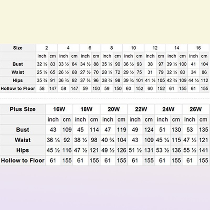 Aline Long Sleeves Chiffon Prom Dresses Formal Occasion Evening Gowns Vestidos De Novia Sweep Train