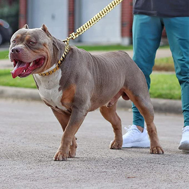 Dog Collars Leashes Strong Golden Choker Pets s Cuban Link Chain 32mm Width Stainless Steel for Medium Large Bulldog Usage 230403