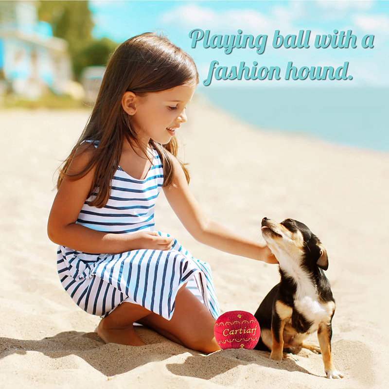 Designer Hound Collection Unique Squeaky Plush Dog Toys Bone Passion Fashion (Accessories) for Puppies Small Dogs Party Photography H23