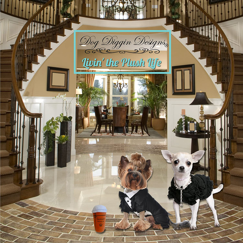 Designer Hound Collection Unique Squeaky Plush Dog Toys Bone Passion Fashion (Accessories) for Puppies Small Dogs Party Photography H23