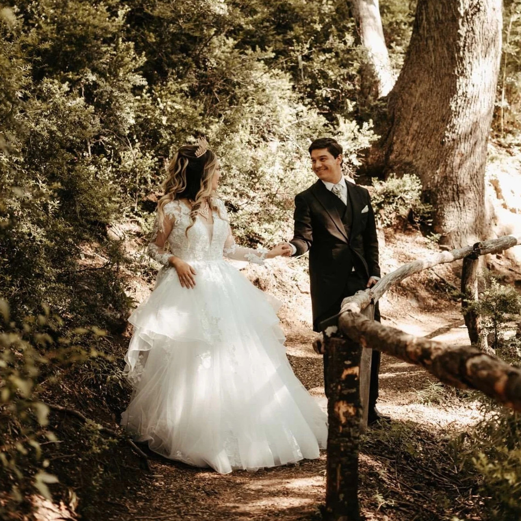 Wedding Dresses V Neck Long Sleeves Tulle Bridal Gowns Lace Appliques Brides Dress For Women Robe De 6660312