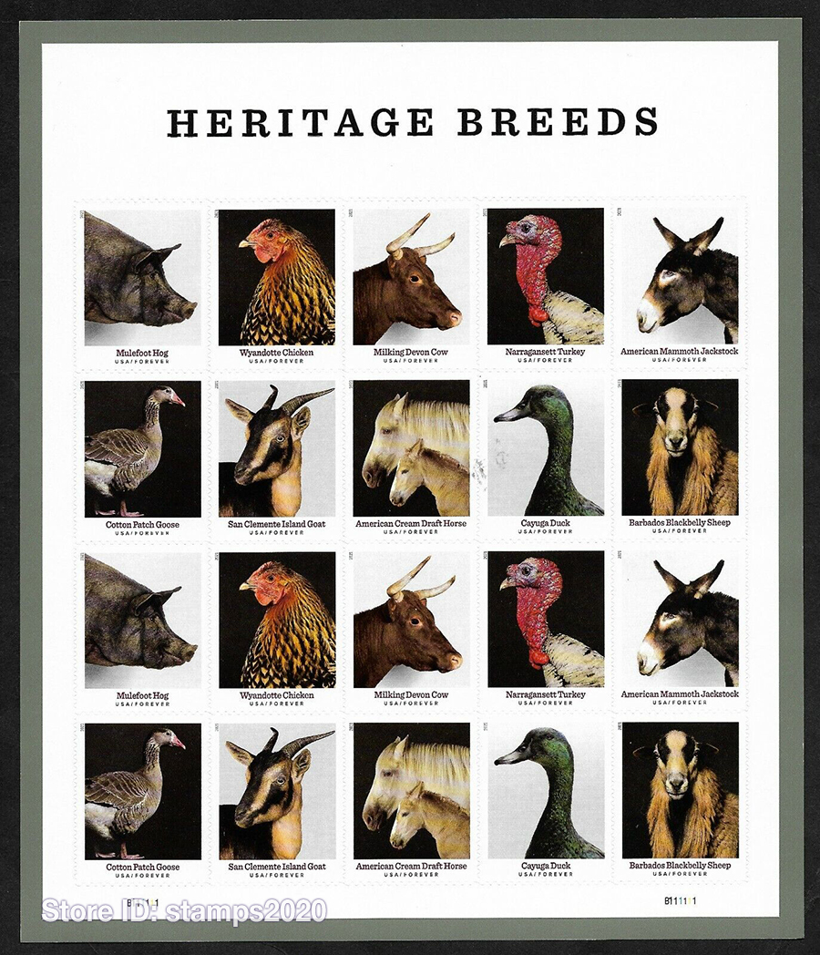 Heritage Breeds Sheet of 20 Forever First Class Letter Anniversary Wedding Celebration, Us stamps
Heritage Breeds Sheet of 20 Forever First Class Letter Anniversary Wedding Celebration, Us stamps
