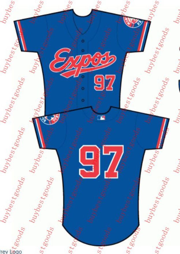 Baseball Jersey Montreal Expos 30 Tim Raines 27 Vladimir Guerrero Custom Pete Rose Pedro Martinez Gary Carter Andre Dawson Stephen Strasburg Jerseys S