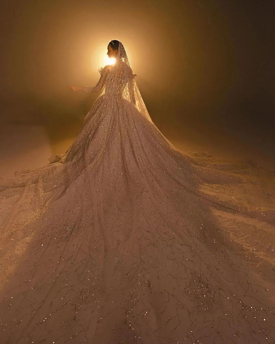 Elegant Shine 3D-Lace Special Occasion Dresses Fashion New Beading Slim Fit Sweep Train Prom Dresses Size Custom Made vestidos de novia D-H23521