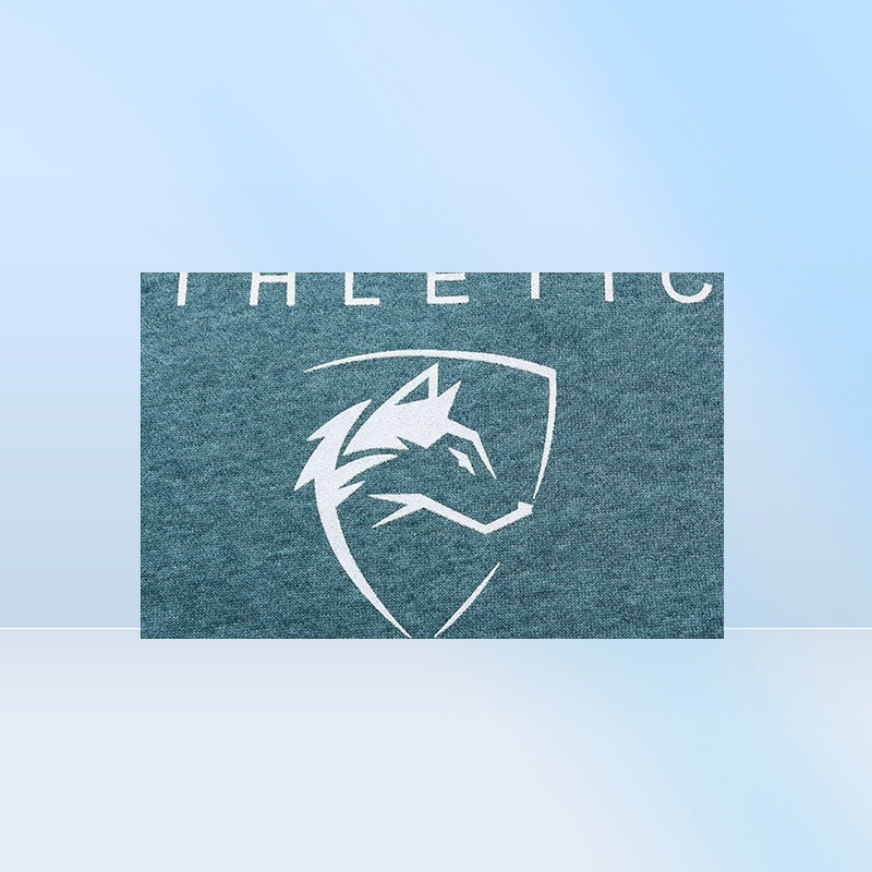 ALPHALETE Men Gyms Hoodies Gyms Fitness Bodybuilding Sweatshirt Pullover Sportswear Male Workout Hooded Jacket Clothing SH190921