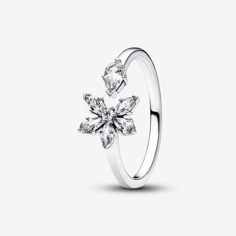 Authentic ALE Rings Women Original BOX S925 Sterling Silver For P Brand Design Princess Wish Birthday Gift Christmas CZ Diamond Wedding Birthday Gifts